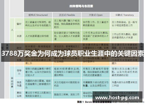 3788万奖金为何成为球员职业生涯中的关键因素