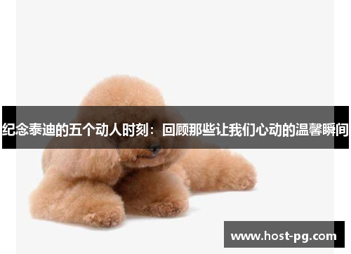 纪念泰迪的五个动人时刻：回顾那些让我们心动的温馨瞬间