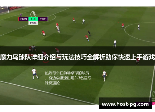 魔力鸟球队详细介绍与玩法技巧全解析助你快速上手游戏