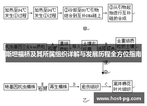 斯坦福桥及其所属组织详解与发展历程全方位指南 斯坦福桥及其所属组织详解与发展历程全方位指南