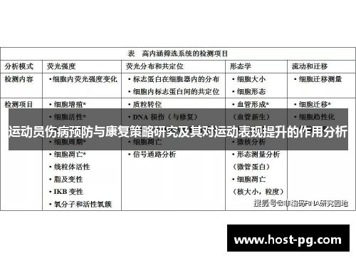 运动员伤病预防与康复策略研究及其对运动表现提升的作用分析