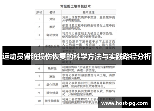 运动员肾脏损伤恢复的科学方法与实践路径分析